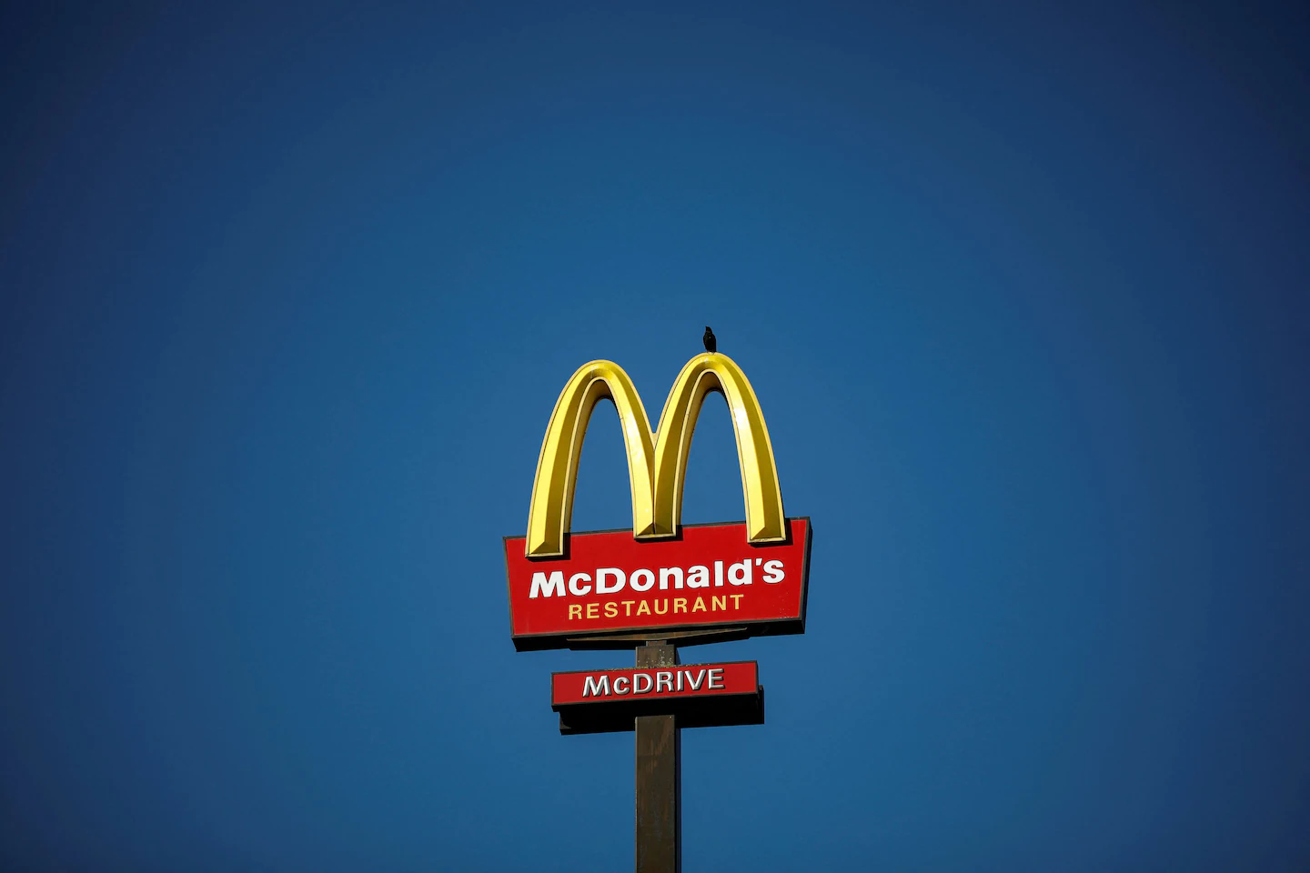 Carl Icahn starts a proxy fight with McDonald's over the welfare of pigs