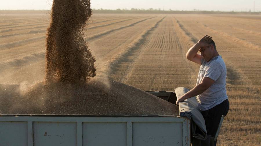 Wheat prices hit record highs as the war halted exports from Ukraine and Russia