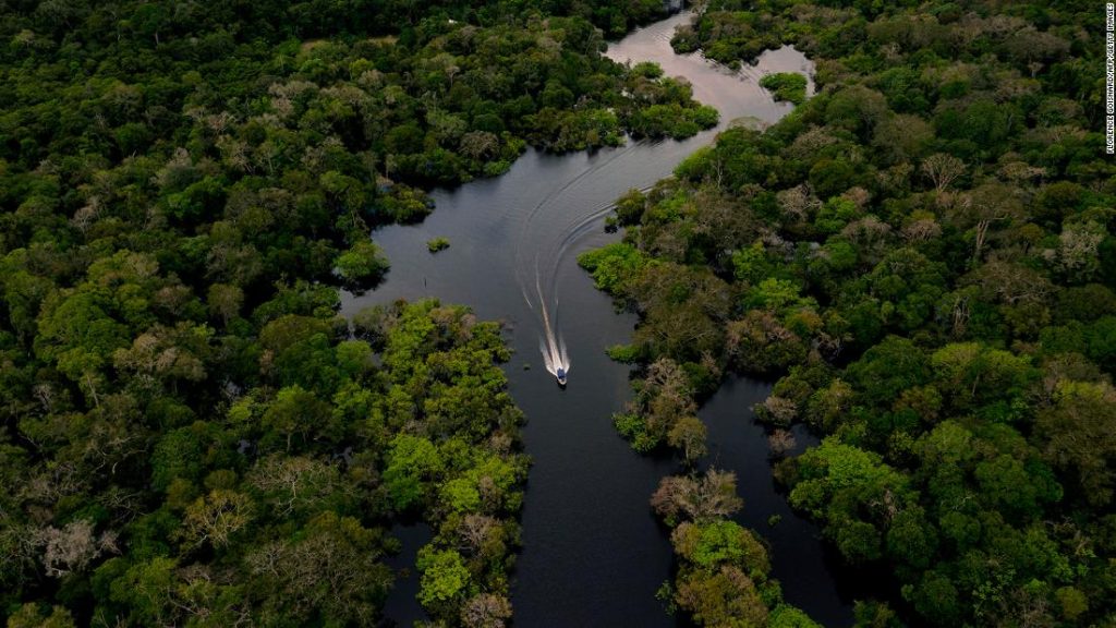A new study finds that the Amazon rainforest is nearing the tipping point of switching to a savannah