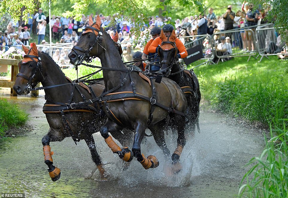 Participants in the International Grand Prix Driving Marathon for Quad Horse Racing on day three of the Royal Windsor Horse Show
