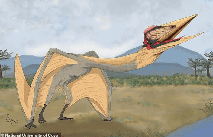 Paleontologists in Argentina have discovered fossils of a new type of pterosaur called 'Pterosaurus'.  death dragon "