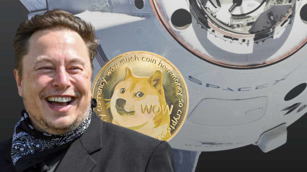 Elon Musk says Spacex will soon accept Dogecoin for merchandise – Starlink subscriptions can follow – Altcoins Bitcoin News