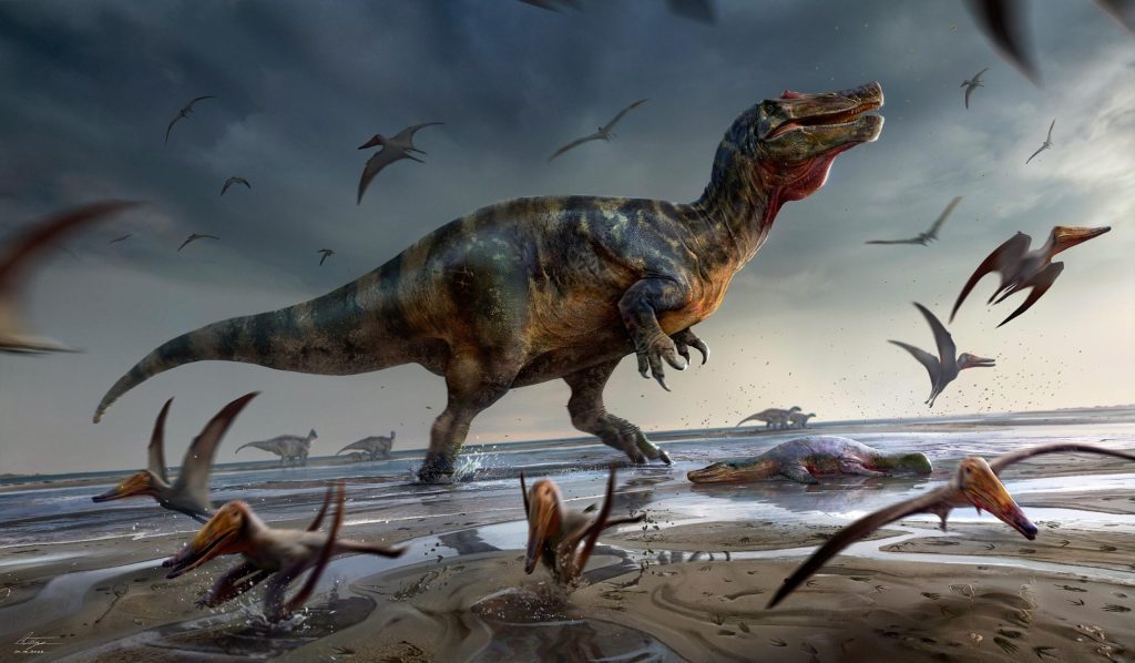 The discovery of the largest predatory dinosaur in Europe on the Isle of Wight