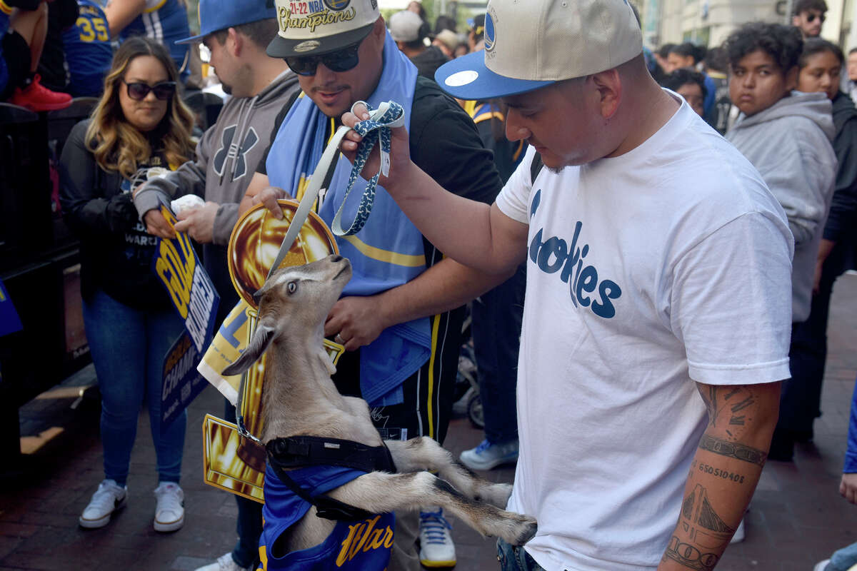 Hayward's Javier Caldera brought his goat Carrie to the Warriors' Victory Parade on Market Street. 