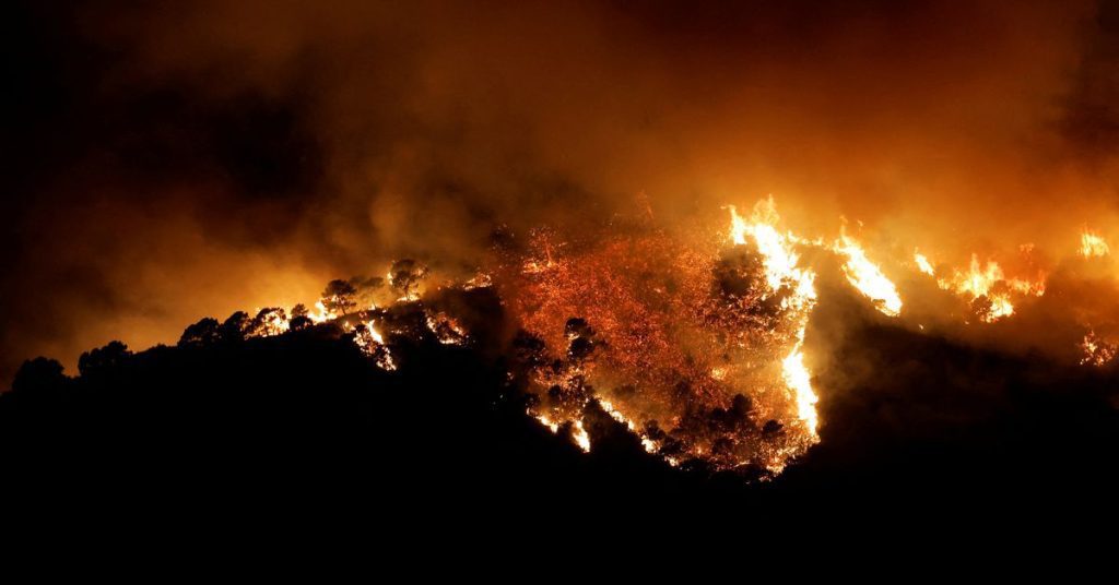 Forest fires in southern Spain force town to evacuate;  Three hurt