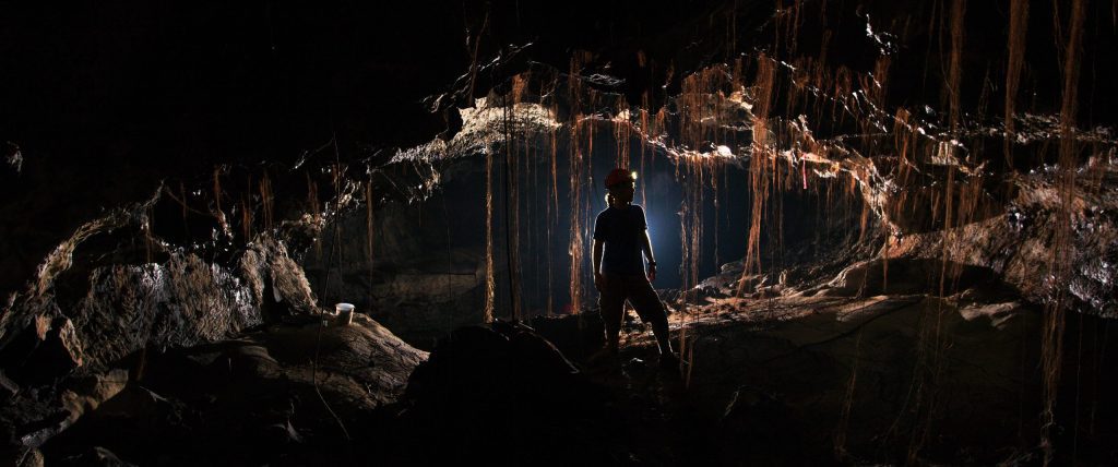 Ancient microbial 'dark matter' - thousands of unknown bacterial species discovered in Hawaii's lava caves