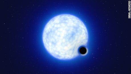 This artist's impression shows what a binary system VFTS 243 might look like. The size of the two binary components cannot be measured: in fact, the blue star is about 200,000 times larger than the black hole.  