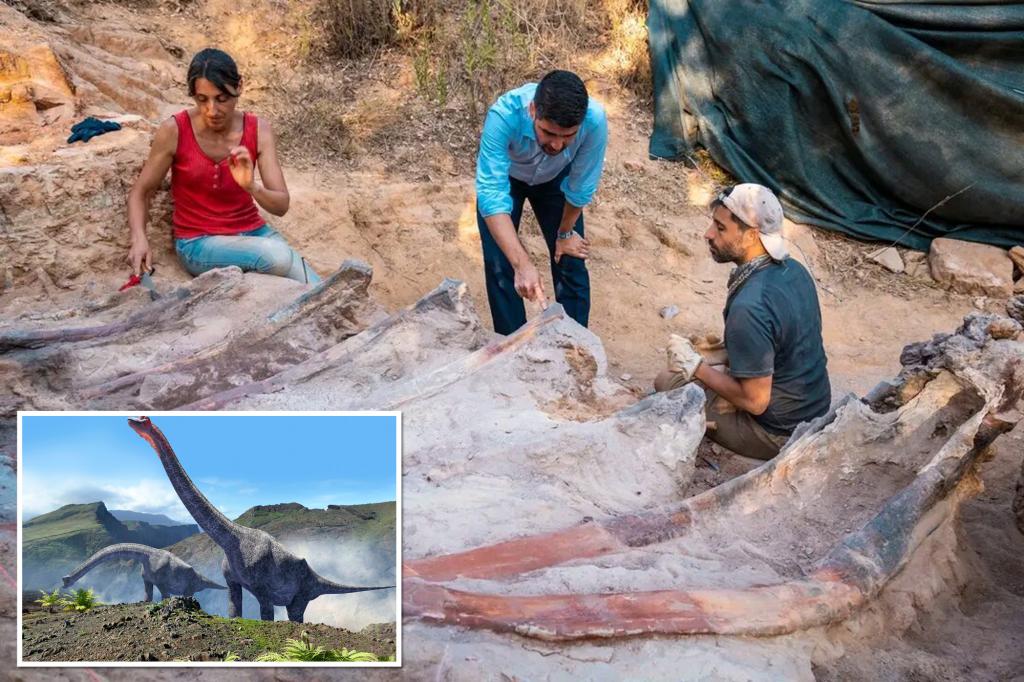 An 82-foot-tall dinosaur skeleton was found in the backyard of a man in Portugal
