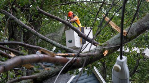 A worker removes fallen trees and fallen wires from damage in Halifax on September 24, 2022.  
