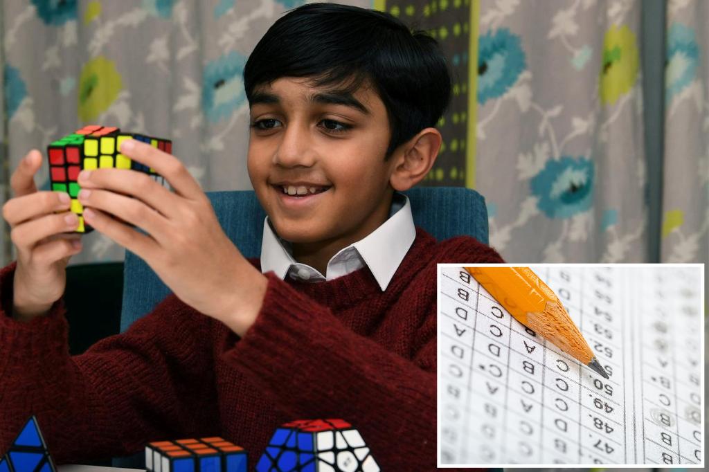 UK boy, 11, gets highest possible IQ score