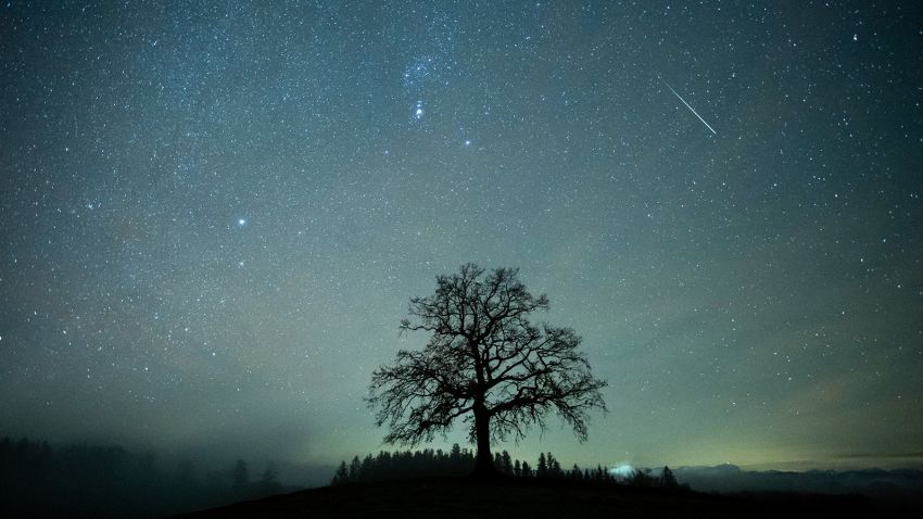 December 14, 2020, Bavaria, Menzing: A shooting star can be seen during the Geminids meteor stream in the starry sky above a tree.  The Geminids are the strongest meteor stream of the year.  Photo: Matthias Balk / picture-alliance / dpa / AP Images