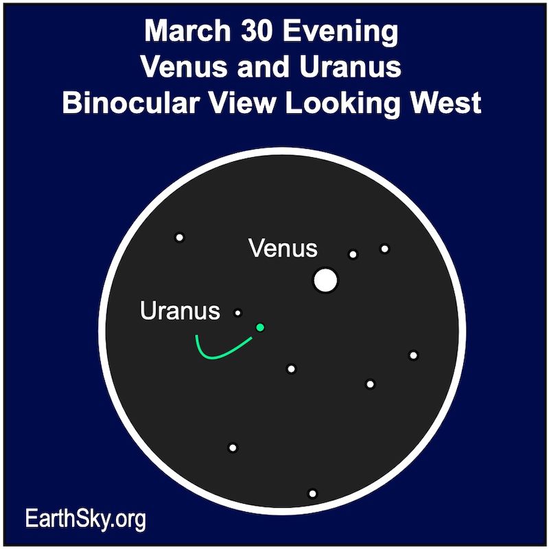 March 30, Venus and Uranus through binoculars.  Venus at upper right, larger and brighter.