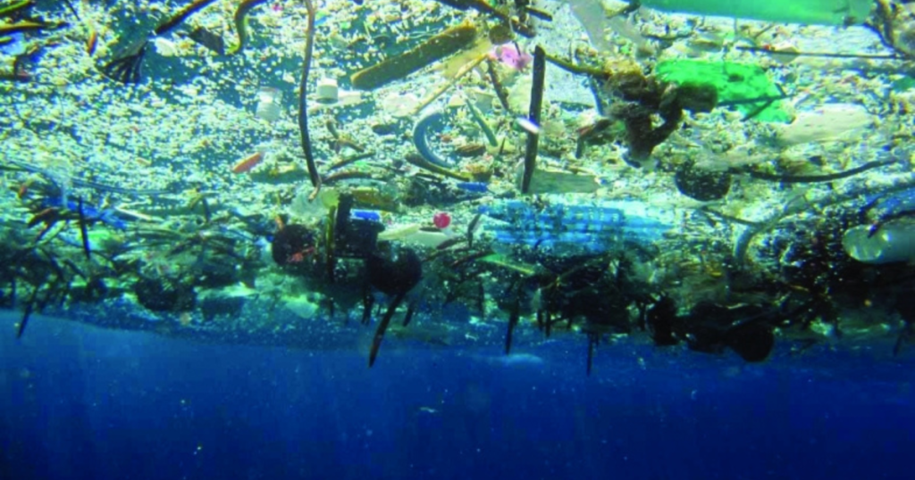 A large Pacific garbage patch in the middle of the ocean is now home to coastal species