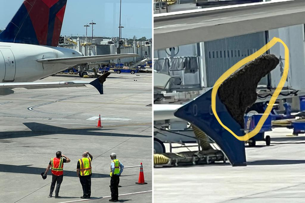 A swarm of bees on the wing of a Delta plane delays the flight for hours