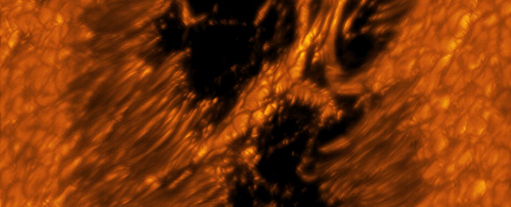 Captivating close-ups show amazing detail hidden in the sun's glare: ScienceAlert