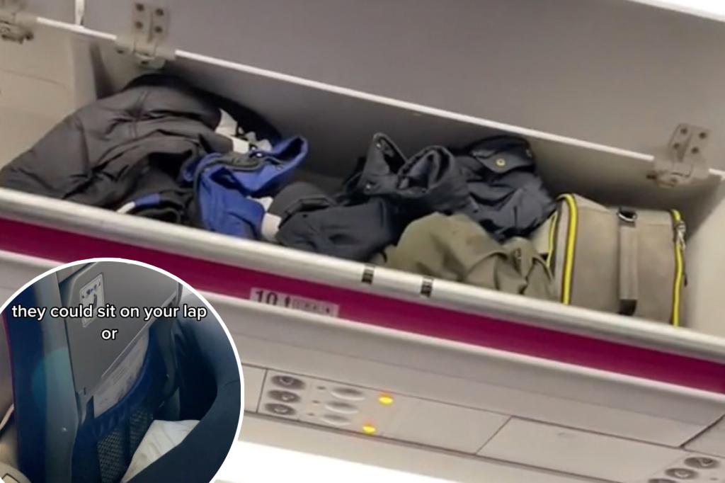 The use of overhead lockers in airlines is dividing the internet