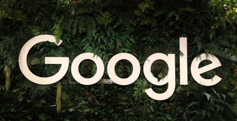 A large Google logo is displayed amidst the foliage.