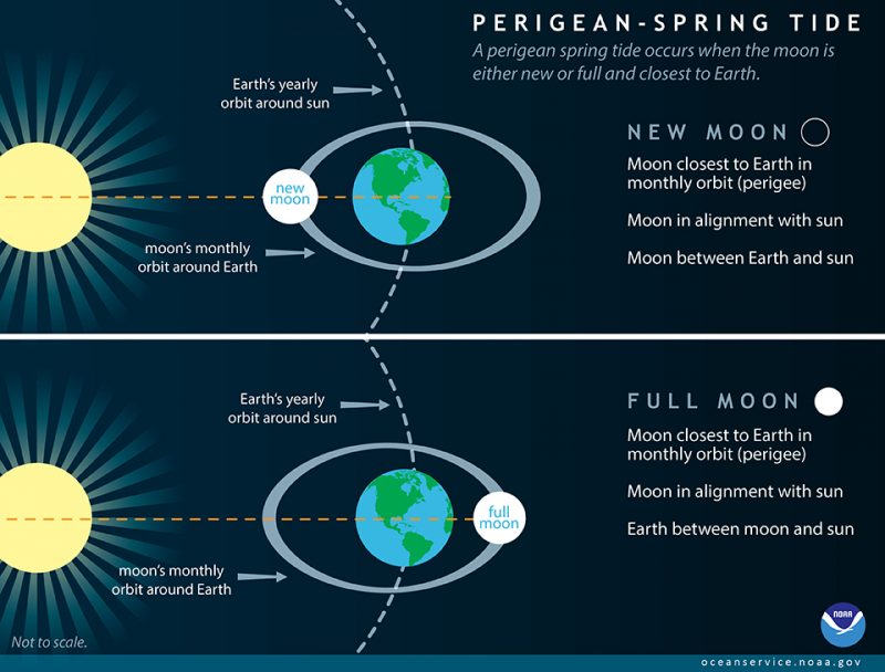 Two graphs: the sun, moon, and earth, and their positions during the new moon and full moon.