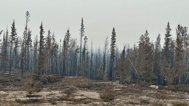 Yellowknife, Northwest Territories: Thousands scramble to evacuate Canada's territorial capital as more than 200 wildfire areas 'unprecedented'
