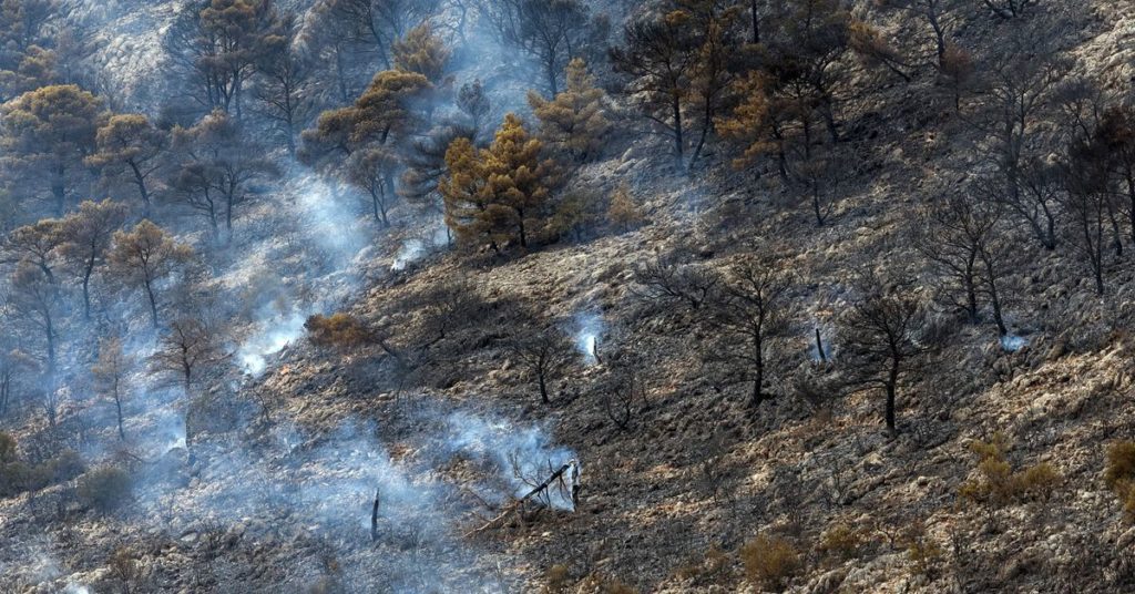 A forest fire outside Athens as hundreds of fires ravage Greece