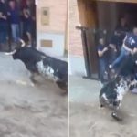 A man dies after being gored by a bull at a Spanish festival