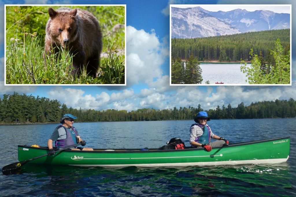 Canadian couple killed by 'desperate' grizzly bear were highly skilled hikers who 'took every precaution': friends