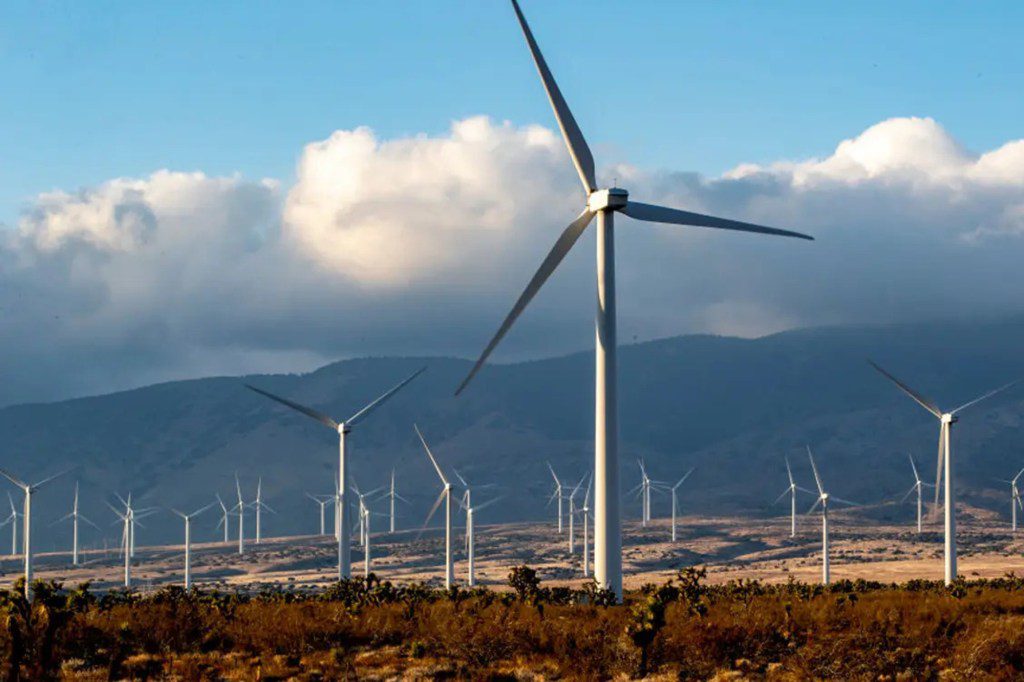 Wind turbines on a farm, with Albany Wind Farm in the background.