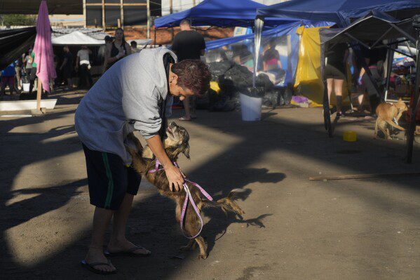 A man and his dog reunite at a shelter that provides refuge for dogs evacuated from areas flooded by heavy rains, in Canoas, Rio Grande do Sul state, Brazil, Thursday, May 9, 2024. (AP Photo/Andre Penner)